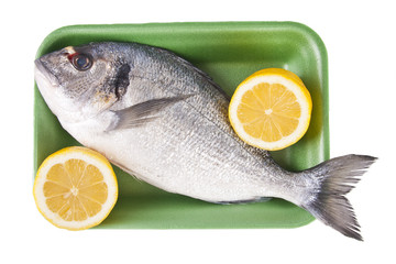 pescado crudo fresco con fondo blanco