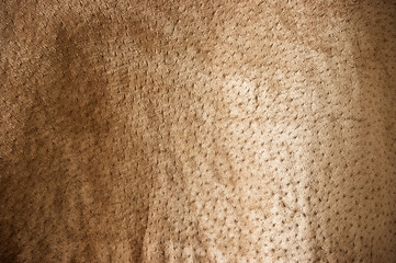 Brown undulating leather