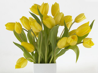 Yellow Tulips in vase.