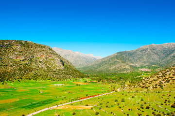 Fototapeta na wymiar Green fields in Peloponnese in Greece