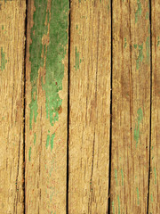 Fototapeta premium texture