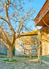 Old buildings and a tree in Iviron monastery on Athos Greece