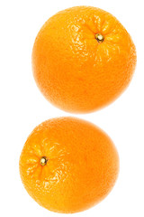 oranges