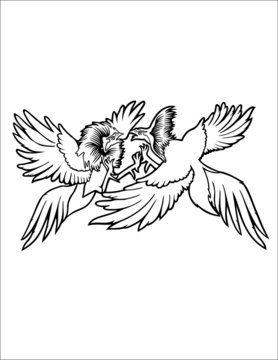 cocks fight