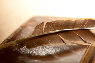 Feather and old book