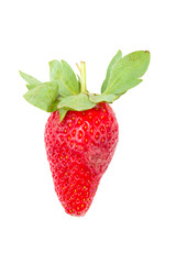 Strawberry with leaves