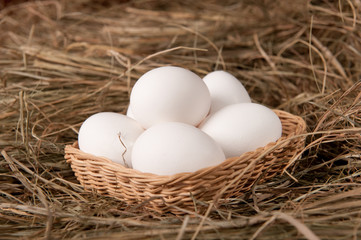 Eggs in basket