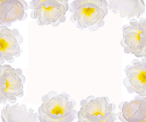 white brier flower frame