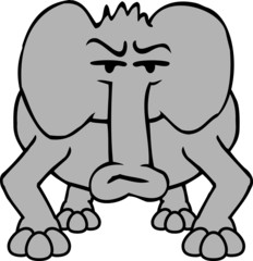 elefant