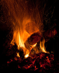 Fototapeta premium burning logs