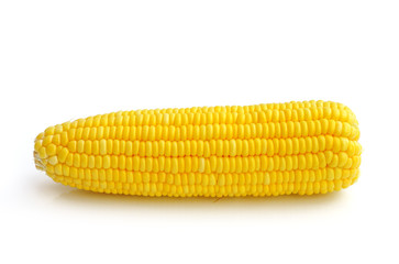corn on a white background
