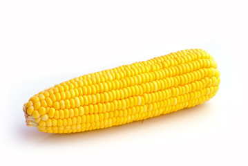 corn on a white background