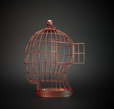 Human head bird cage