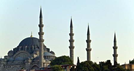 Fototapeta na wymiar Mosque with minarets in Istanbul, Turkey