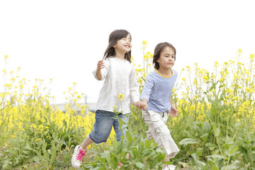Fototapeta premium 菜の花畑で手を繋ぎ歩く男の子と女の子