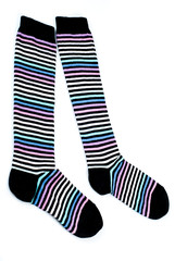 socks isolated