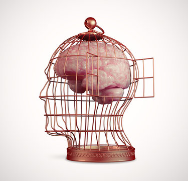 Brain inside a cage