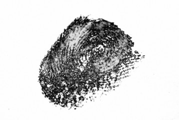 fingerprint