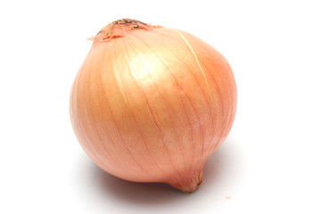 Onion