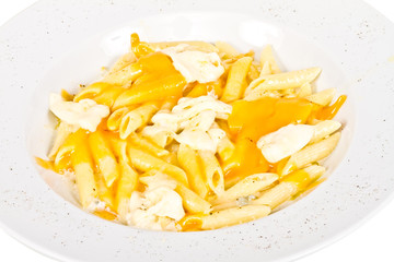 Penne pasta with parmesan, dor blue, chamamber and mozzarella