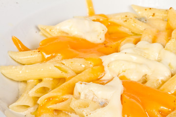 Penne pasta with parmesan, dor blue, chamamber and mozzarella