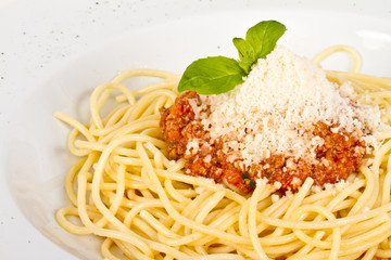 spaghetti pasta with tomato beef sauce