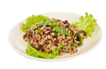 tasty rice with mushrooms