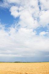 Fototapeta premium Clouds.