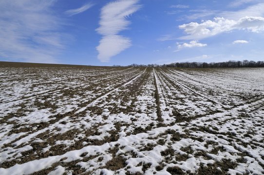 Melting snow on the plowed field