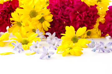 chrysanthemum flowers, hyacinth and carnation