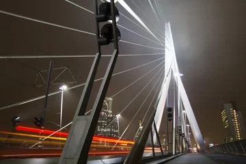 Printed roller blinds Erasmus Bridge Urban scenery at night