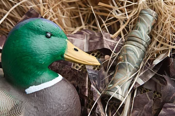 Poster duck decoy with stuffed and calls © sytnik