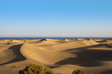 Dunas de Maspalomas