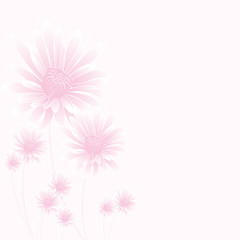 pink flowers