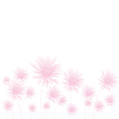 Fototapeta premium pink flowers