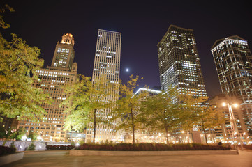 Fototapeta na wymiar Chicago downtown