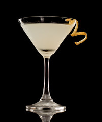 Shaken Martini