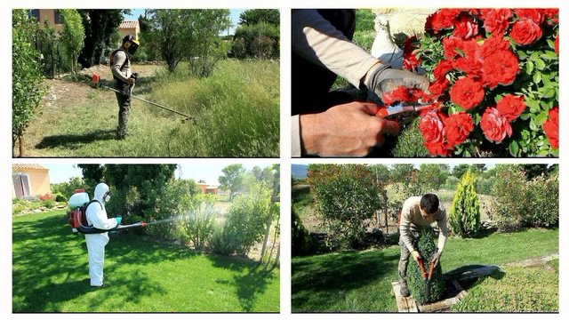 l' entretien de votre jardin