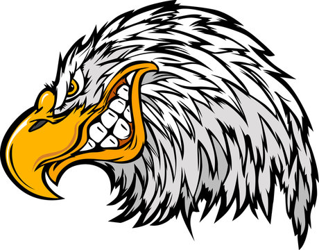 Mascot Head of an Eagle Cartoon Vector Illustration