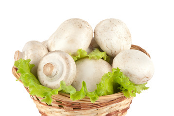 white mushrooms