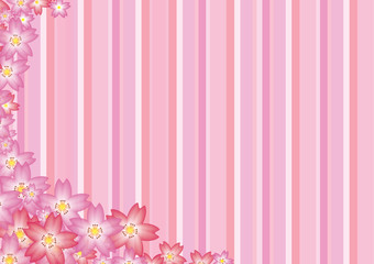 Pink Cherry Blossom Stripes Background