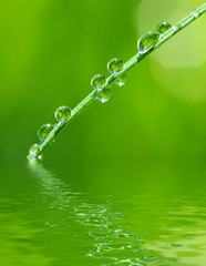 water drops
