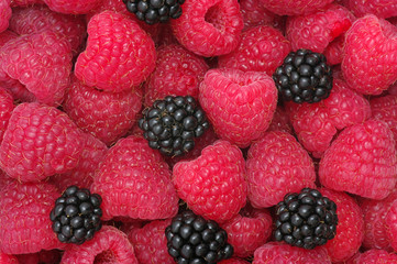 raspberries background
