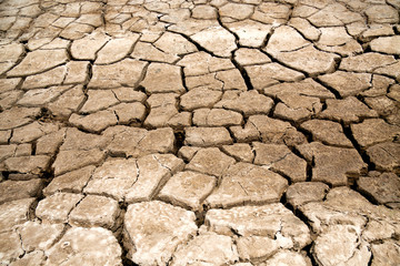 Dry Soil Texture