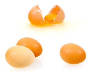 Egg