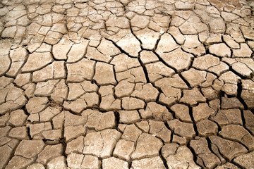 Dry Soil Texture
