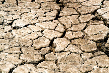Dry Soil Texture