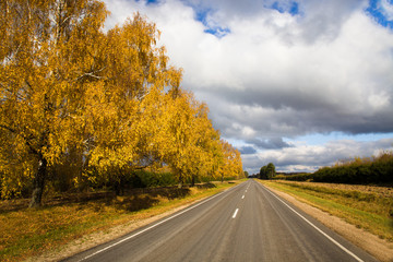 Fototapeta premium Autumn road