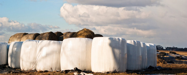 silage, bales