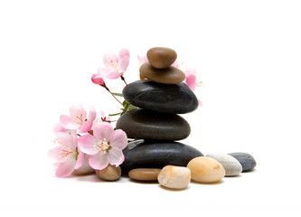 Obraz na płótnie Canvas Zen / spa stones with flowers